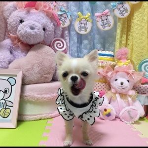 Meet your Posher, Christine